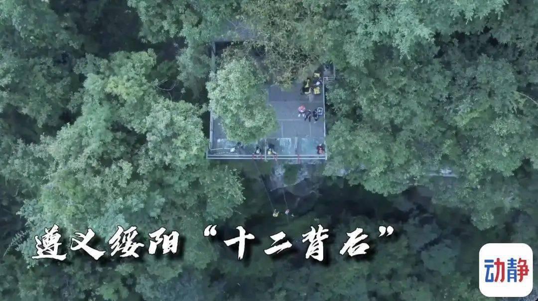 救援怒吼的狮子