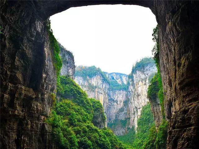 战锤：末世鼠疫2